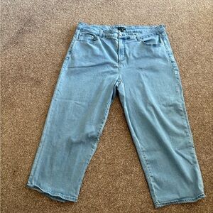 Universal Standard Blue Jeans